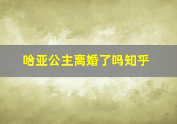 哈亚公主离婚了吗知乎