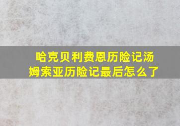 哈克贝利费恩历险记汤姆索亚历险记最后怎么了