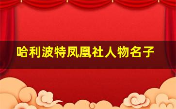 哈利波特凤凰社人物名子