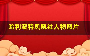 哈利波特凤凰社人物图片