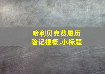 哈利贝克费恩历险记梗概,小标题