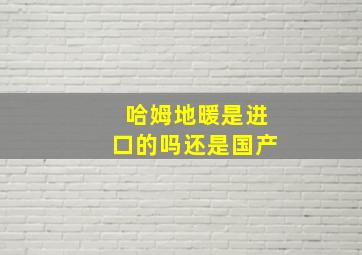 哈姆地暖是进口的吗还是国产