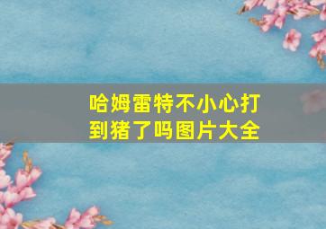 哈姆雷特不小心打到猪了吗图片大全