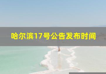 哈尔滨17号公告发布时间