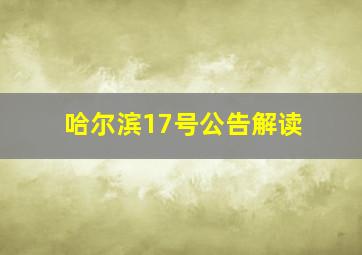 哈尔滨17号公告解读