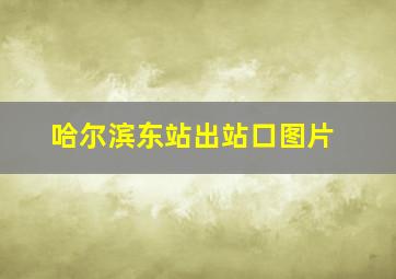 哈尔滨东站出站口图片