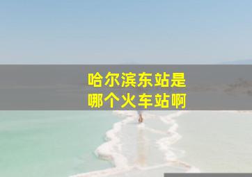 哈尔滨东站是哪个火车站啊