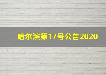 哈尔滨第17号公告2020