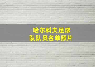 哈尔科夫足球队队员名单照片