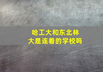 哈工大和东北林大是连着的学校吗