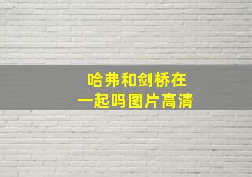 哈弗和剑桥在一起吗图片高清