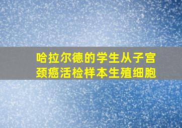 哈拉尔德的学生从子宫颈癌活检样本生殖细胞