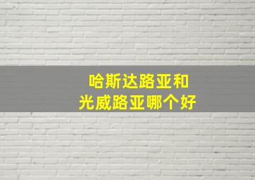 哈斯达路亚和光威路亚哪个好