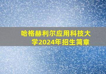 哈格赫利尔应用科技大学2024年招生简章