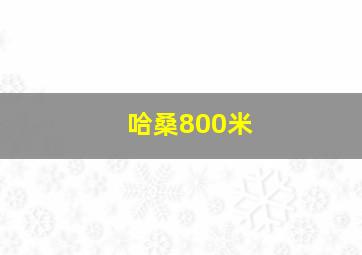 哈桑800米