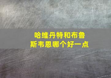 哈维丹特和布鲁斯韦恩哪个好一点