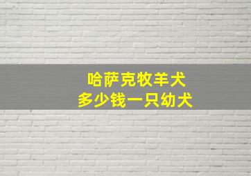 哈萨克牧羊犬多少钱一只幼犬