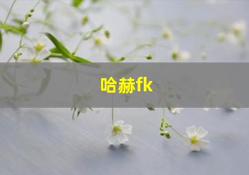 哈赫fk