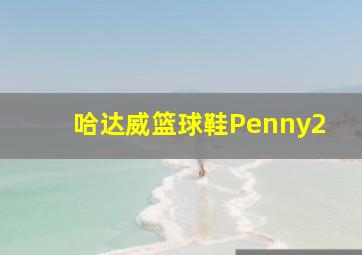 哈达威篮球鞋Penny2