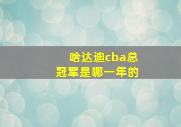 哈达迪cba总冠军是哪一年的