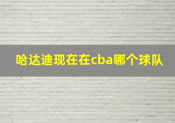 哈达迪现在在cba哪个球队