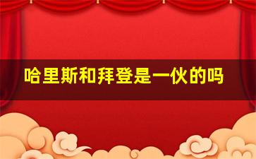 哈里斯和拜登是一伙的吗