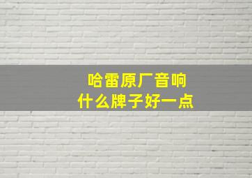 哈雷原厂音响什么牌子好一点