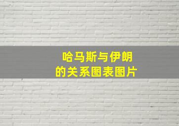 哈马斯与伊朗的关系图表图片