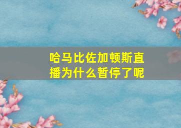 哈马比佐加顿斯直播为什么暂停了呢