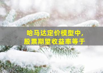 哈马达定价模型中,股票期望收益率等于