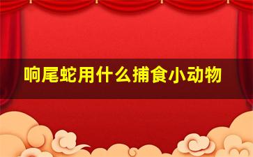 响尾蛇用什么捕食小动物