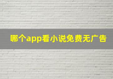 哪个app看小说免费无广告