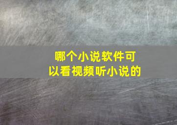 哪个小说软件可以看视频听小说的