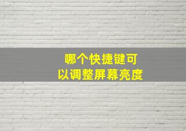 哪个快捷键可以调整屏幕亮度