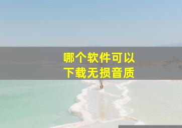 哪个软件可以下载无损音质