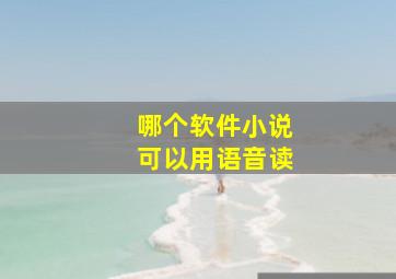 哪个软件小说可以用语音读