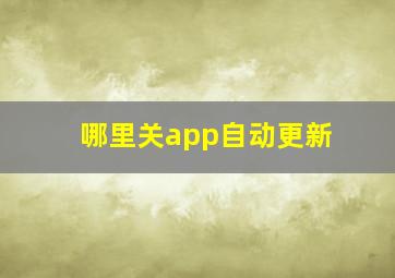 哪里关app自动更新