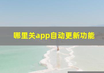 哪里关app自动更新功能