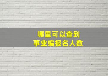 哪里可以查到事业编报名人数