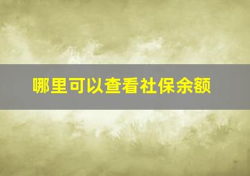 哪里可以查看社保余额