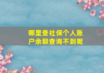 哪里查社保个人账户余额查询不到呢