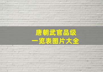 唐朝武官品级一览表图片大全