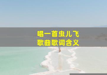 唱一首虫儿飞歌曲歌词含义