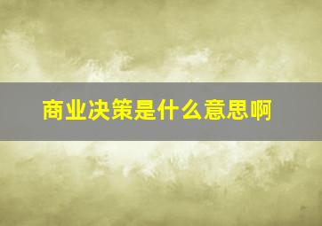 商业决策是什么意思啊