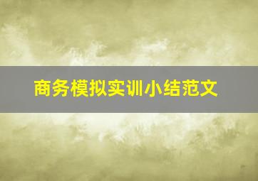 商务模拟实训小结范文