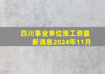 四川事业单位涨工资最新消息2024年11月