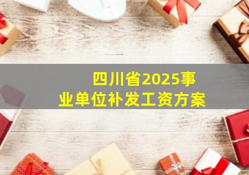 四川省2025事业单位补发工资方案