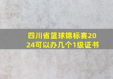 四川省篮球锦标赛2024可以办几个1级证书