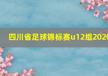 四川省足球锦标赛u12组2020