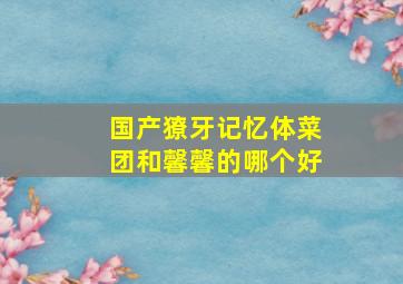 国产獠牙记忆体菜团和馨馨的哪个好